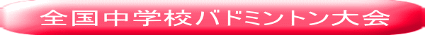 全国中学校バドミントン大会 